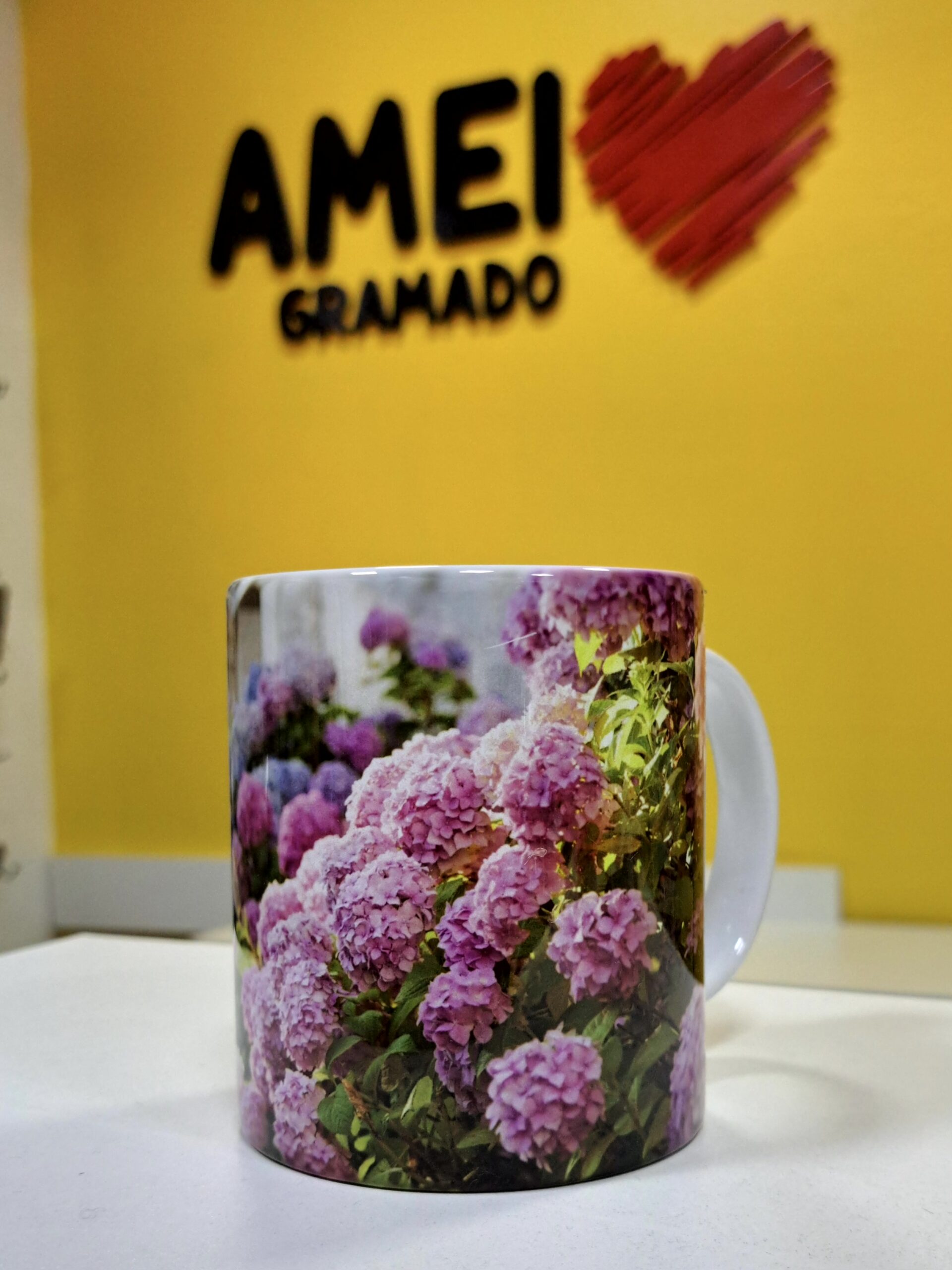 Caneca Cores 325ml Hortências