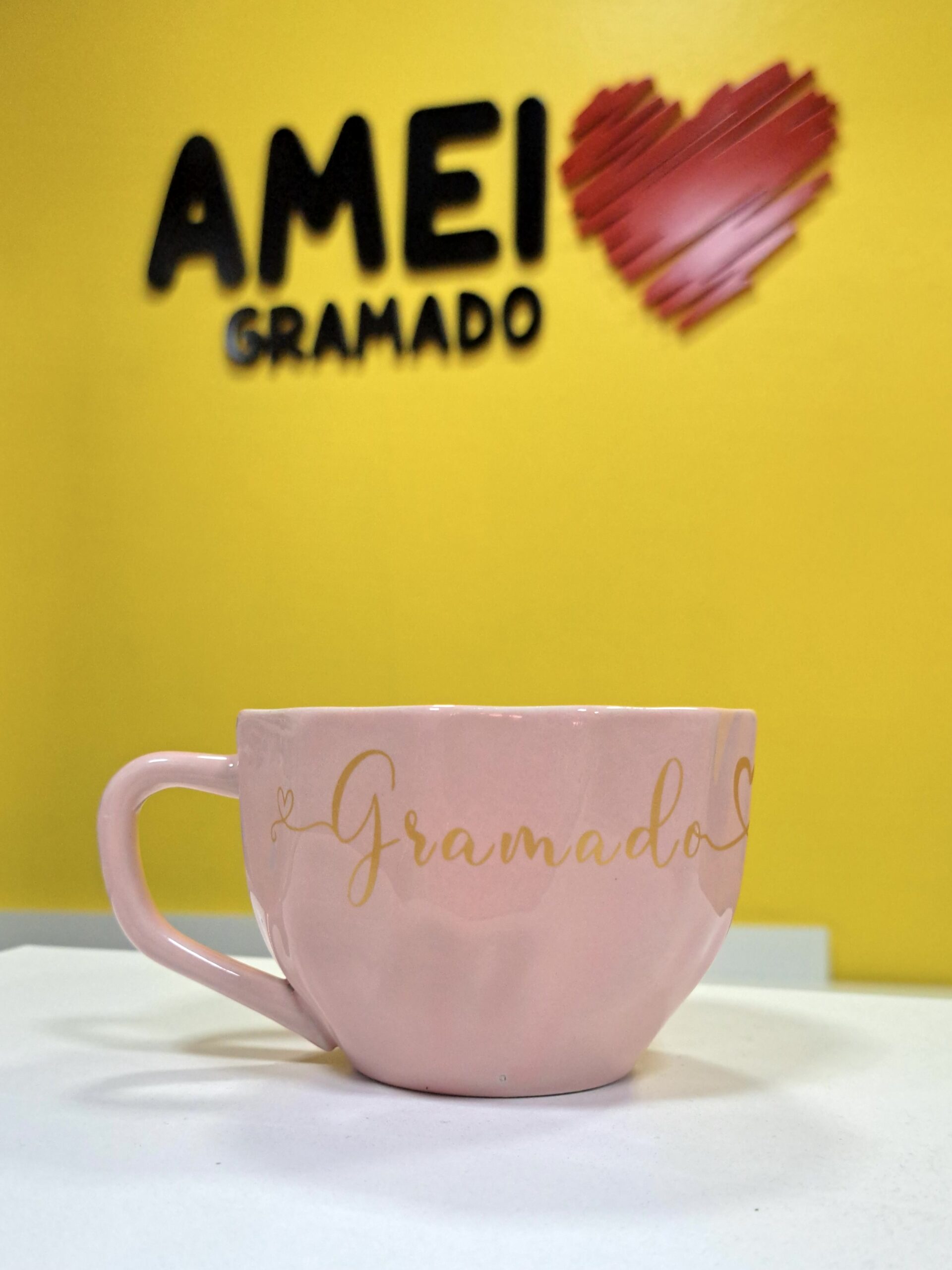 Xícara de Chá Rosa Gramado Serra Gaúcha